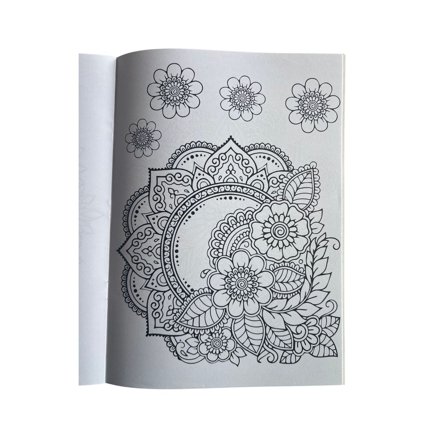Premium Mandala & Nature Coloring Books
