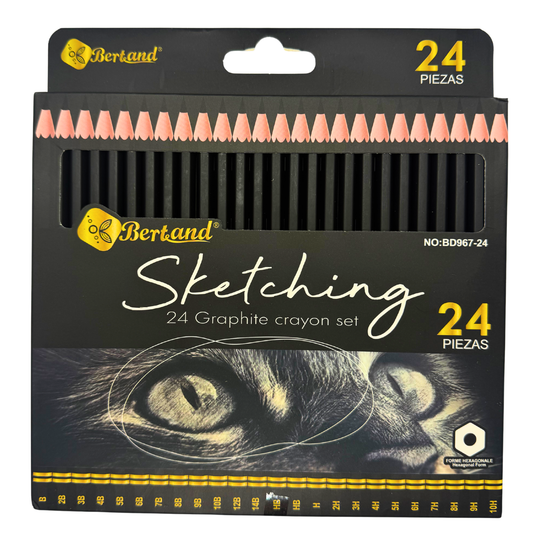 Professional Graphite Sketching & Drawing Pencil Set
