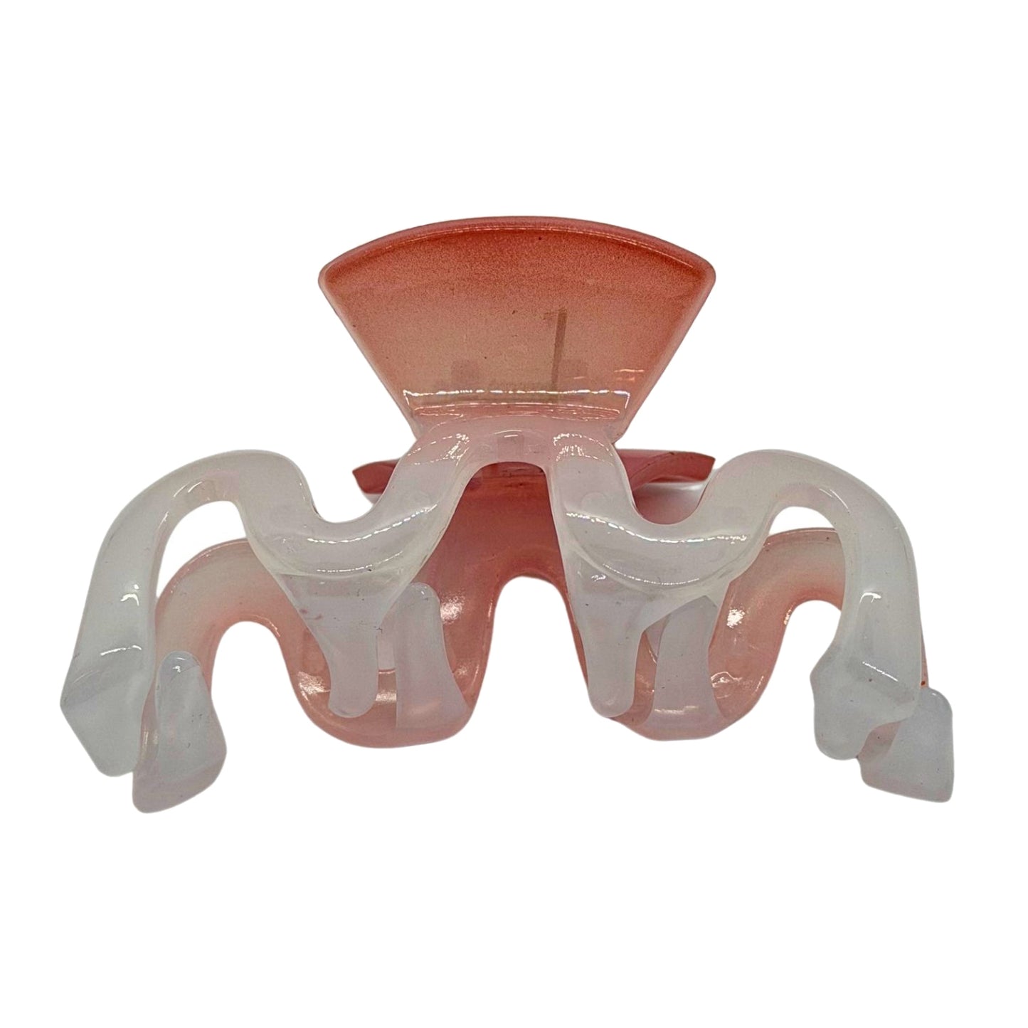 Claws Hair Clip