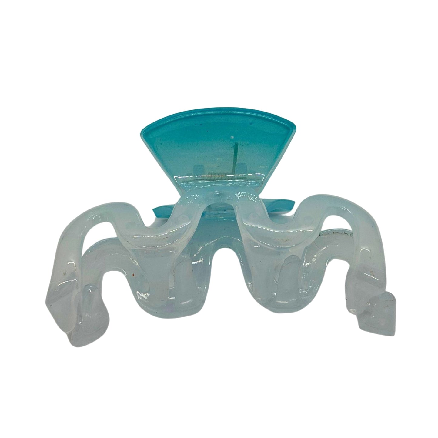 Claws Hair Clip